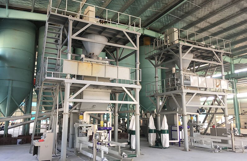 Twin Shaft Paddle Mixer