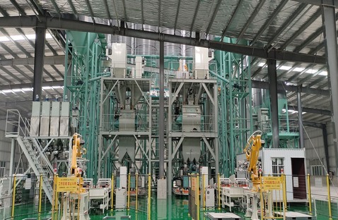 Ploughshare Mixer vs Twin Shaft Paddle Mixer – Which Is Right for Your Dry Mortar Plant?